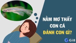 Mơ thấy cá to đánh con gì giúp anh em về bờ nhanh nhất