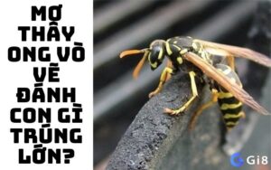 Mơ thấy ong vò vẽ đánh con gì: Giải mã con số may mắn