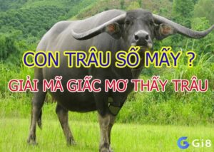 Mơ thấy trâu cày ruộng đánh đề con gì tài lộc dồi dào