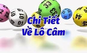 Lô đầu đuôi câm là gì? Cách bắt và một số kinh nghiệm hay