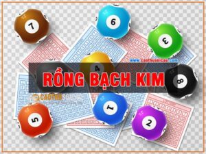 Soi cầu bạch kim là gì? Hướng dẫn soi cầu bạch kim hiệu quả