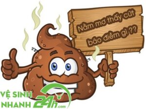 Mơ nhìn thấy cút danh đánh con gì chốt số trúng lô đề cao?