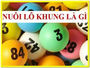 Nuôi lô khung là gì? Những hình thức nuôi lô hiệu quả nhất