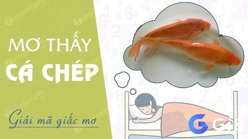 Giải mã giấc mơ thấy bắt cá chép đánh ngay những con số may mắn