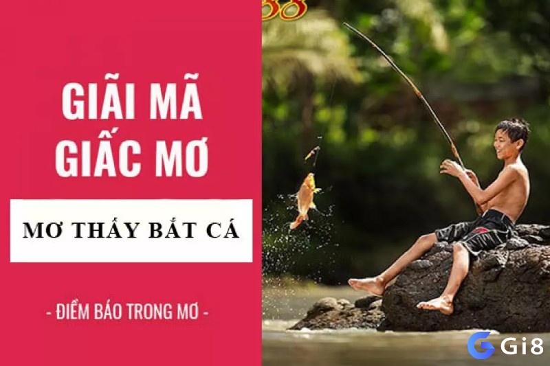 Cùng Gi8 tìm hiểu về điềm báo, ý nghĩa giấc mơ thấy bắt cá 