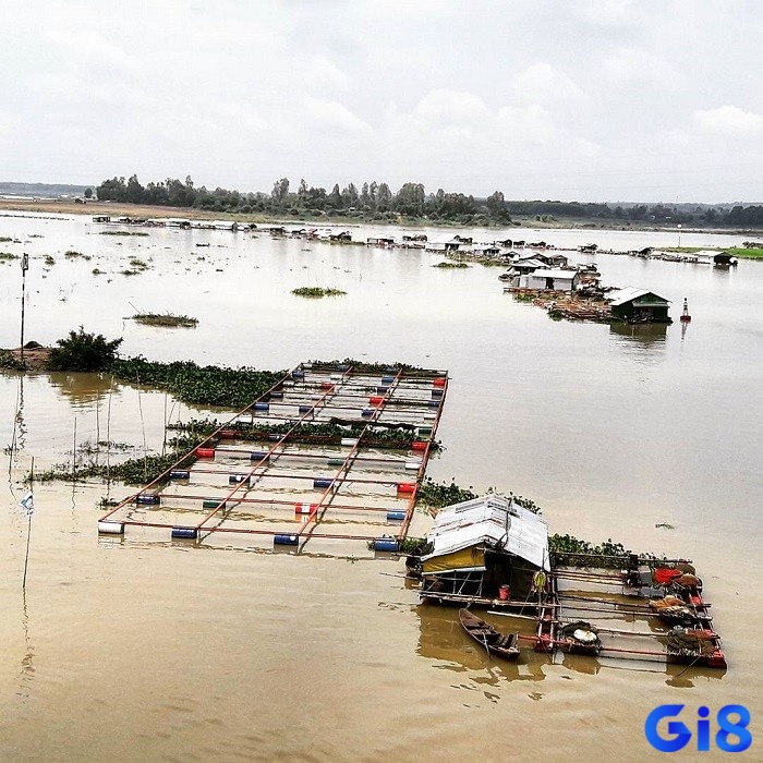 Ý nghĩa của giấc mơ thấy nước dâng cao có thể liên quan đến cảm xúc mạnh mẽ, sự thay đổi trong cuộc sống và mất kiểm soát