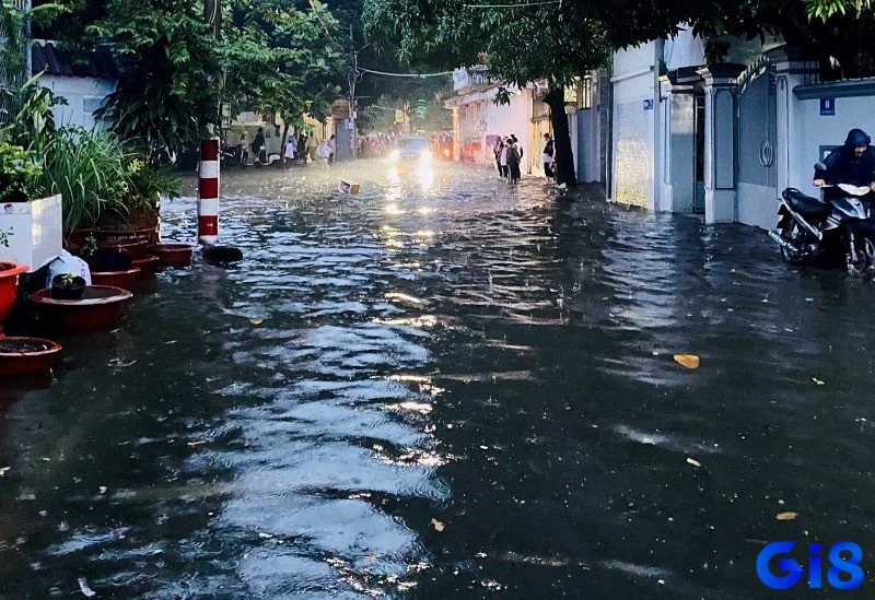 Chiêm bao thấy nước lũ mang lại cho chủ mộng cơ hội phát tài 